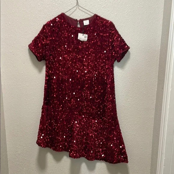 Zara | Dresses | Zara Burgundy Sequin Dress | Poshmark